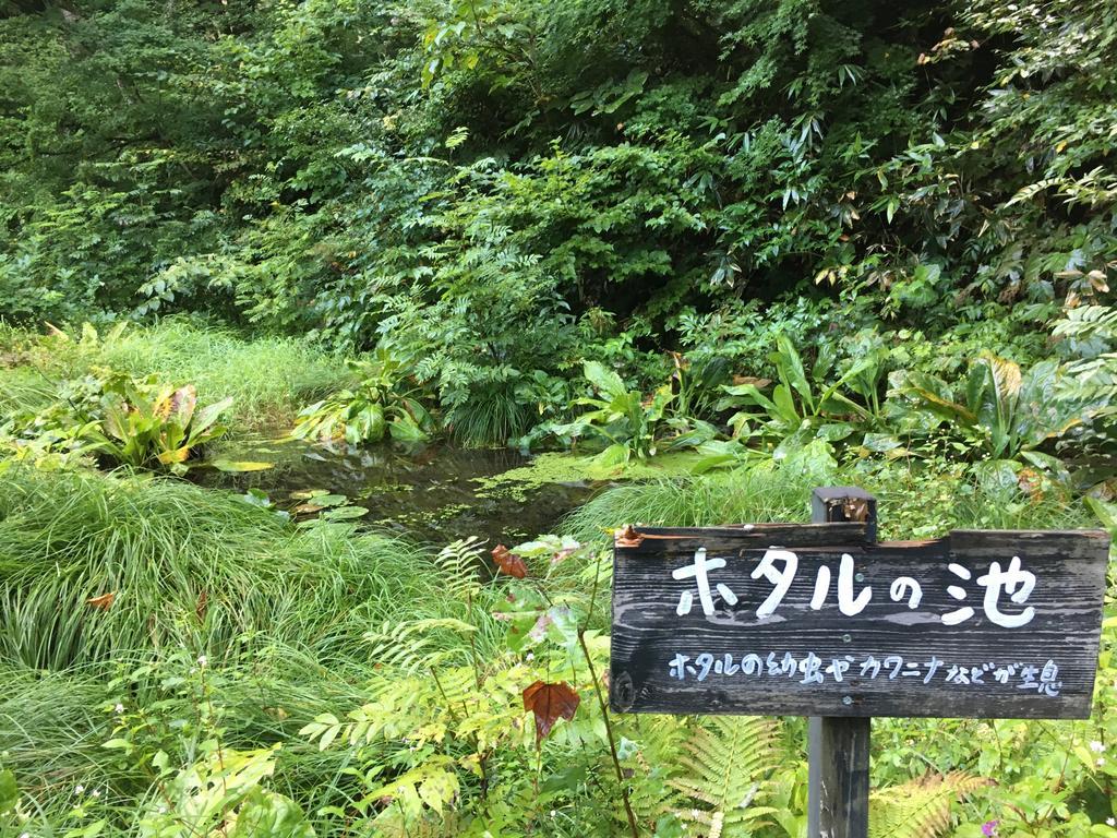 Отель Lamp No Yado Aoni Onsen Hirakawa Экстерьер фото